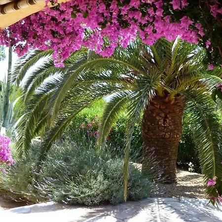 Lou Pei 2 Superbe Vue Piscine Chauffee 10x5m Version 3ch 3sdb * Saint-Peïre-sur-Mer