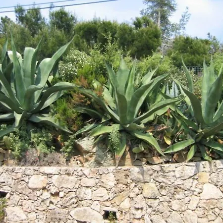 ヴィラ Lou Pei 2 Superbe Vue Piscine Chauffee 10x5m Version 3ch 3sdb Saint-Peïre-sur-Mer