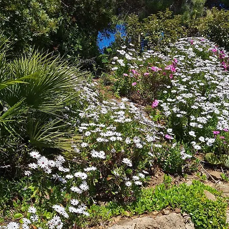 Βίλα Lou Pei 2 Superbe Vue Piscine Chauffee 10x5m Version 3ch 3sdb *
